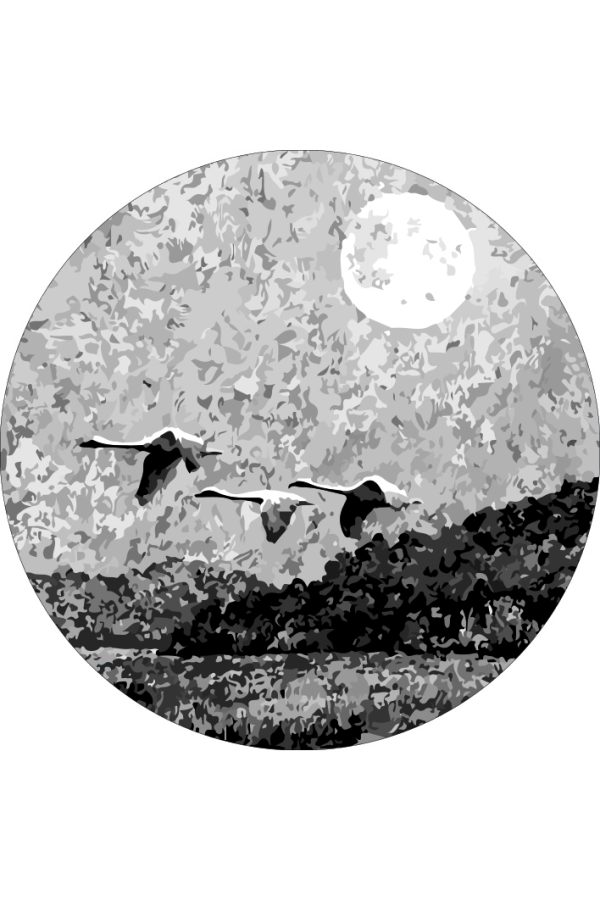 فرشینه مدرن ( کد72)